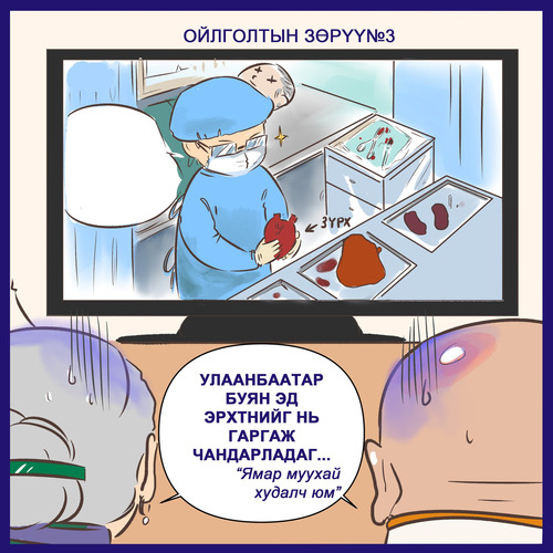 ОЙЛГОЛТЫН ЗӨРҮҮ №3